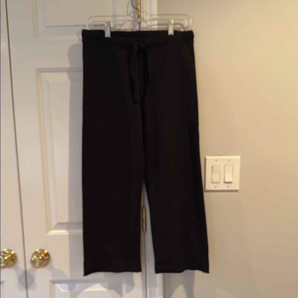 Brand new Frank & Eileen Catherine Triple Fleece Sweatpants in Black. Size XS.